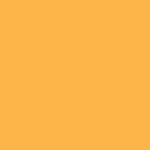 Pantone Iced Mango 14-1140